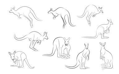 Kangaroo logo isolated on isolated background. kangaroo silhouette line drawing vector illustration