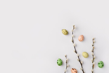 Eco Easter layout. Pussy willow branches and colored natural quail eggs on light grey background. Festive composition. Spring holiday. Willow catkins and eggs template. Top view, flat lay, copy space. - obrazy, fototapety, plakaty