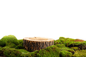 natural style. Wooden saw cut, round podium with green moss on a transparent background. Still life for the presentation of products.