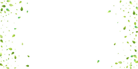 Leaves Green Falling Flying Foliage Leaf Tea Mint