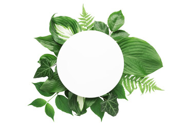 green leaves with white circle on transparent background