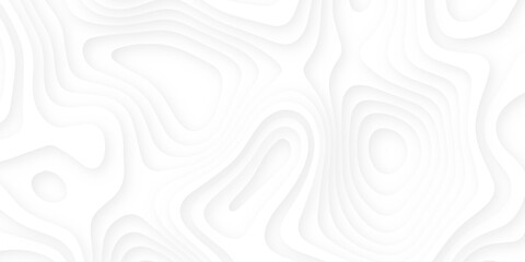 Abstract wavy line 3d paper cut white background. Topographic canyon geometric map relief texture with curved layers and shadow. Abstract realistic papercut decoration textured with wavy layers	

