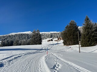 Excellently arranged and cleaned winter trails for walking, hiking, sports and recreation in the area of the tourist resorts of Valbella and Lenzerheide in the Swiss Alps -  Switzerland (Schweiz)