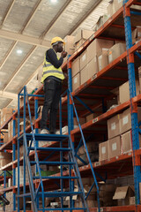 Naklejka na ściany i meble Warehouse workers in a large warehouse Climb the ladder to inspect the goods on the top shelves.