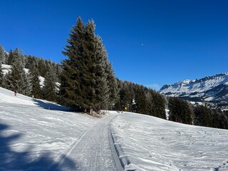 Excellently arranged and cleaned winter trails for walking, hiking, sports and recreation in the area of the tourist resorts of Valbella and Lenzerheide in the Swiss Alps -  Switzerland (Schweiz)