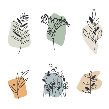 hand drawn plant elements, sprouts, branches, aesthetic template set