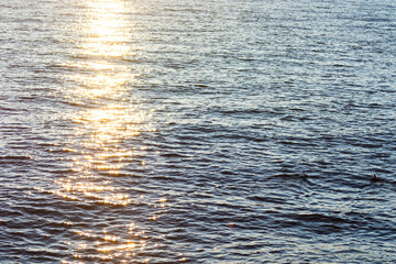 imagen del océano con la luz del sol marcada 