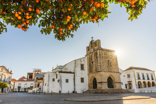 Downtown of Faro with Se Cathedral in the morning with orange tree in the foreground, Portugal