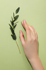 Concept of summertime, leaves, summer and nature concept