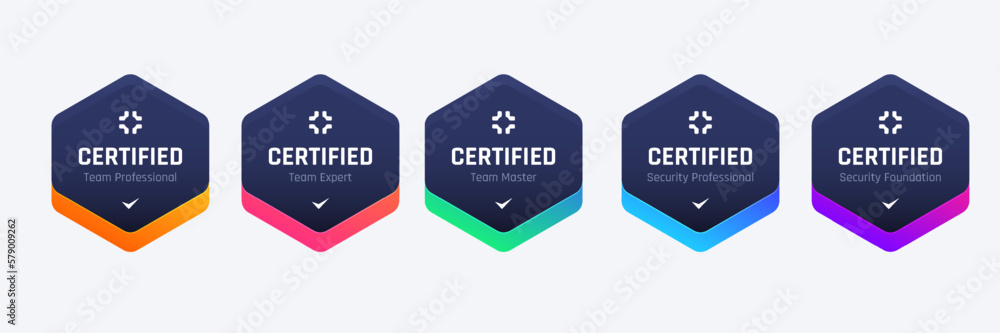 Fototapete list of computer security certifications organizations badge design base on criteria. vector illustr