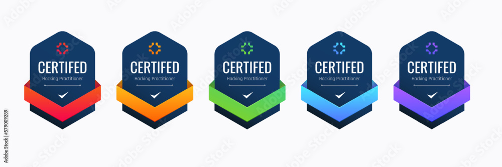 Fototapete certified badge design for hacking practitioner. professional computer security certifications based