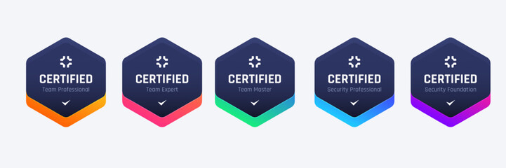 List of Computer Security Certifications Organizations Badge Design Base On Criteria. Vector Illustration Colorful Hexagon Logo Template.