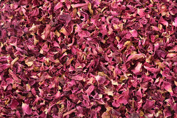 Dried rose petals background texture.