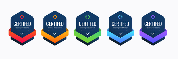 Certified Badge Design for Hacking Practitioner. Professional Computer Security Certifications Based on Criteria. - obrazy, fototapety, plakaty