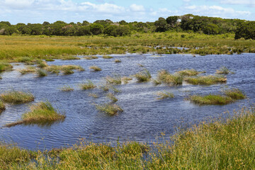Landscape of Isimangaliso wetland park on South Africa