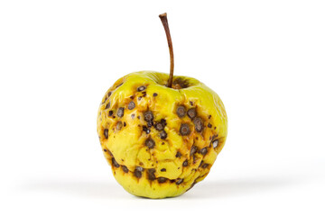 Damaged apple on a white background.