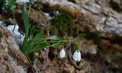 Wonderful Beauties of Nature