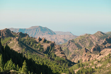 Fototapeta na wymiar Wild volcanic landscape sightseeing with pine trees, cliffs and rock formations in Pico de las Nieves, Tejeda, Gran Canaria. Sunny and clear day