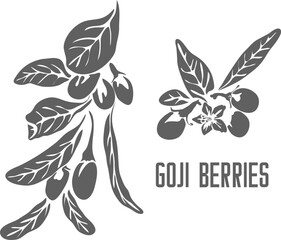 Goji berries vector silhouette. Lycium barbarum medicinal herbal outline. Goji fruits silhouette for pharmaceuticals and coocking. Set of outline Goji berries with leafs.
