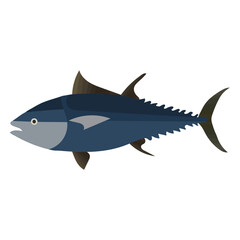  A beautiful sea fish vector artwork