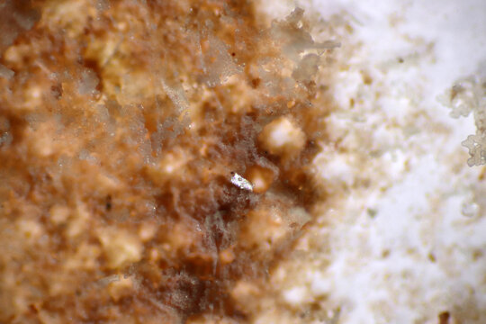 Microplastics inside the soil observed under a 40x microscope macro lens in an environmental health laboratory. This image represents non-recyclable plastic particles contaminating agricultural soil. 