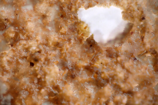 Microplastics inside the soil observed under a 40x microscope macro lens in an environmental health laboratory. This image represents non-recyclable plastic particles contaminating agricultural soil. 