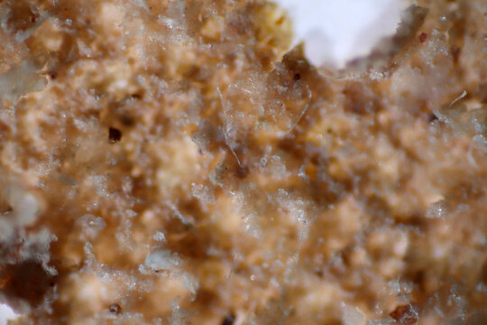 Microplastics inside the soil observed under a 40x microscope macro lens in an environmental health laboratory. This image represents non-recyclable plastic particles contaminating agricultural soil. 