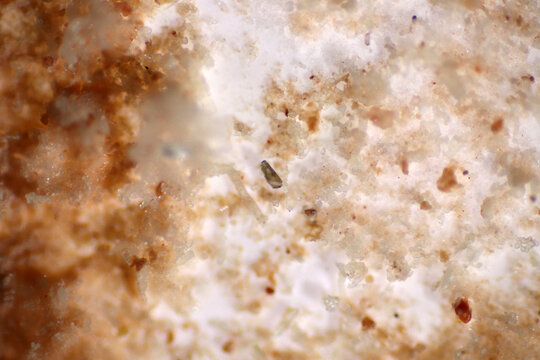 Microplastics inside the soil observed under a 40x microscope macro lens in an environmental health laboratory. This image represents non-recyclable plastic particles contaminating agricultural soil. 