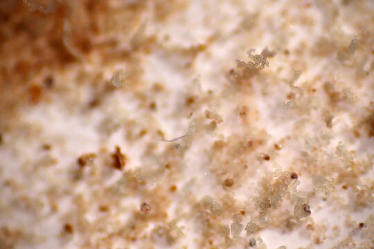 Microplastics inside the soil observed under a 40x microscope macro lens in an environmental health laboratory. This image represents non-recyclable plastic particles contaminating agricultural soil. 