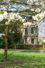 Obraz premium old house in the park