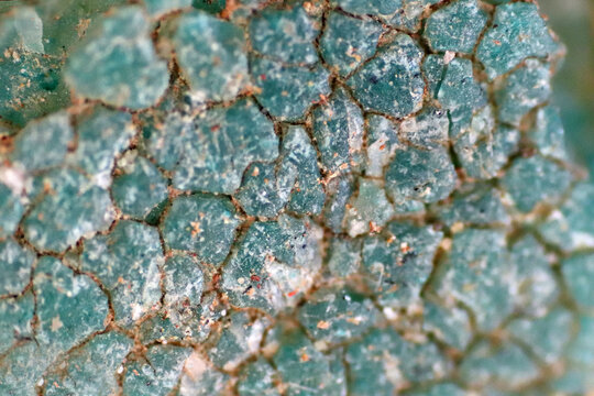 Microplastics inside the soil observed under a 40x microscope macro lens in an environmental health laboratory. This image represents non-recyclable plastic particles contaminating agricultural soil, 