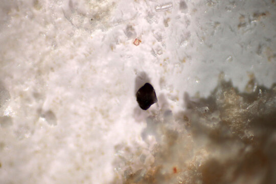 Microplastics inside the soil observed under a 40x microscope macro lens in an environmental health laboratory. This image represents non-recyclable plastic particles contaminating agricultural soil. 