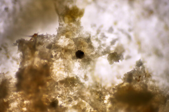 Microplastics inside the soil observed under a 40x microscope macro lens in an environmental health laboratory. This image represents non-recyclable plastic particles contaminating agricultural soil, 