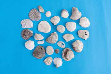 Seashells in heart shape on blue background. Vacation concept