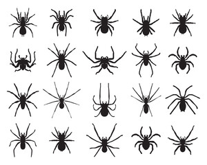 Black silhouettes of spiders on white background