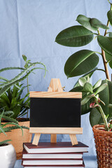 black board for text on stack of books on blue textile background with plants. copy space. Education and exhibitions, meetings concept. Back to school