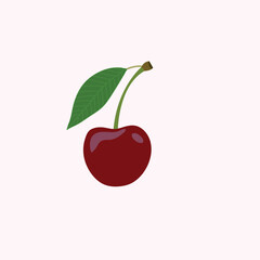 A very beautiful cherry fruit vector artwork