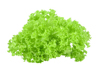 Obraz premium lettuce transparent png