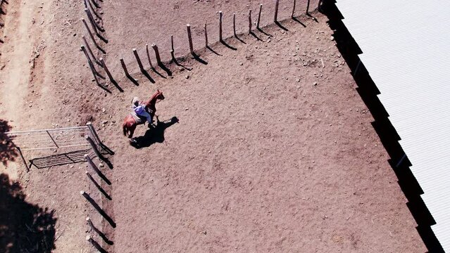 Cowboy (vaquero) on horseback waiting in cattle pen for cattle - aerial view