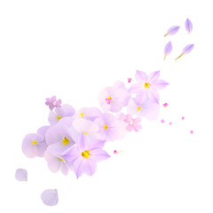 Obraz na płótnie Canvas floral ornament isolated on a white background. design element