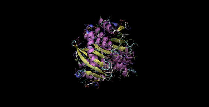 HIV-1 Integrase catalytic core domain,protein 3D molecule  4K  (vertical view 1)