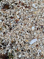 Isle de Skye, Ecosse