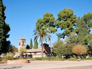 Obraz premium tree in the park