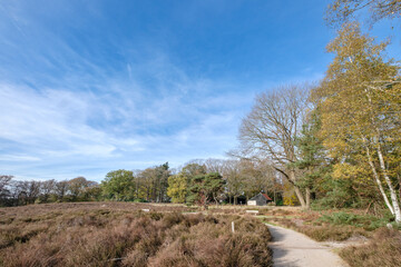 Nature reserve Sallandse Heuvelrug