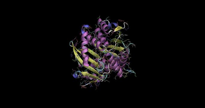 HIV-1 Integrase catalytic core domain,protein 3D molecule  4K
