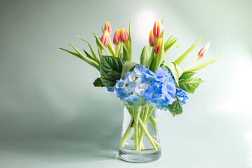 bouquet de tulipes et hortensia vase transparent décentré sur fond vert pale