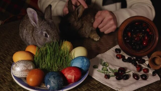 gray easter bunny sitting near painted eggs, close up. Easter holiday concept.
