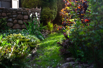 Beautiful botanical garden