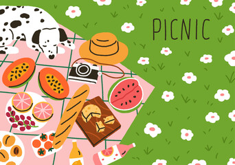 Summer picnic card design. Food, fruits, baguette on blanket on grass and cute dog on weekend. Holiday outdoor eating, doggy on flower meadow, nature background. Colored flat vector illustration - obrazy, fototapety, plakaty