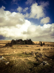 Dartmoor National Park in Devon, England, UK. 